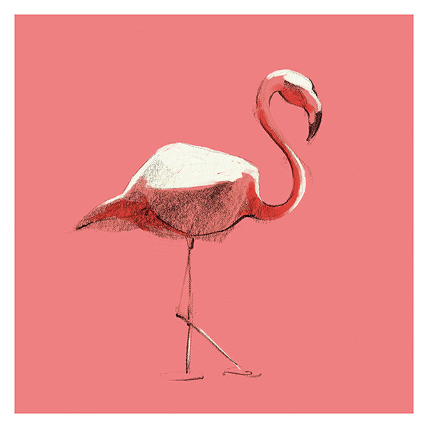 Naturaleza de color. Flamenco