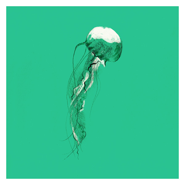 Naturaleza de color. Medusa