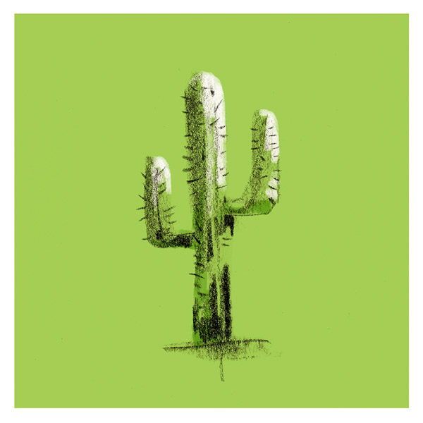 Naturaleza de color. Cactus