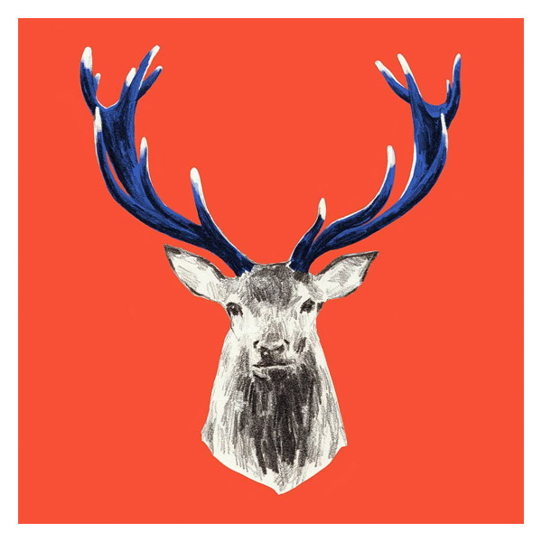 Naturaleza de color. Ciervo