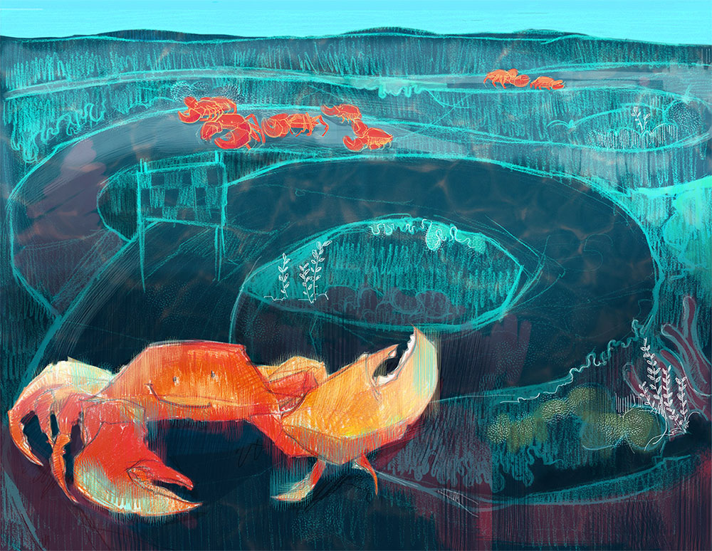 Illustrated Tales. The hope of the crab Alejo. Lucía Sánchez Ramos in www.cincominutitosmas.com