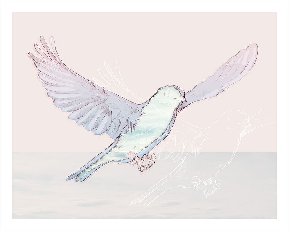 Ilunestradores. Animals